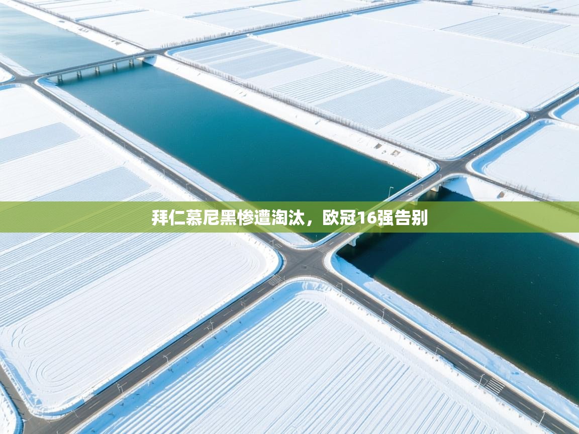 拜仁慕尼黑惨遭淘汰,欧冠16强告别 第2张