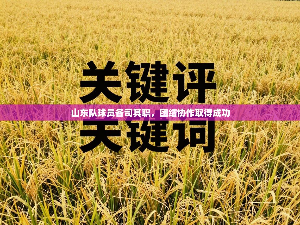 山东队球员各司其职，团结协作取得成功  第2张