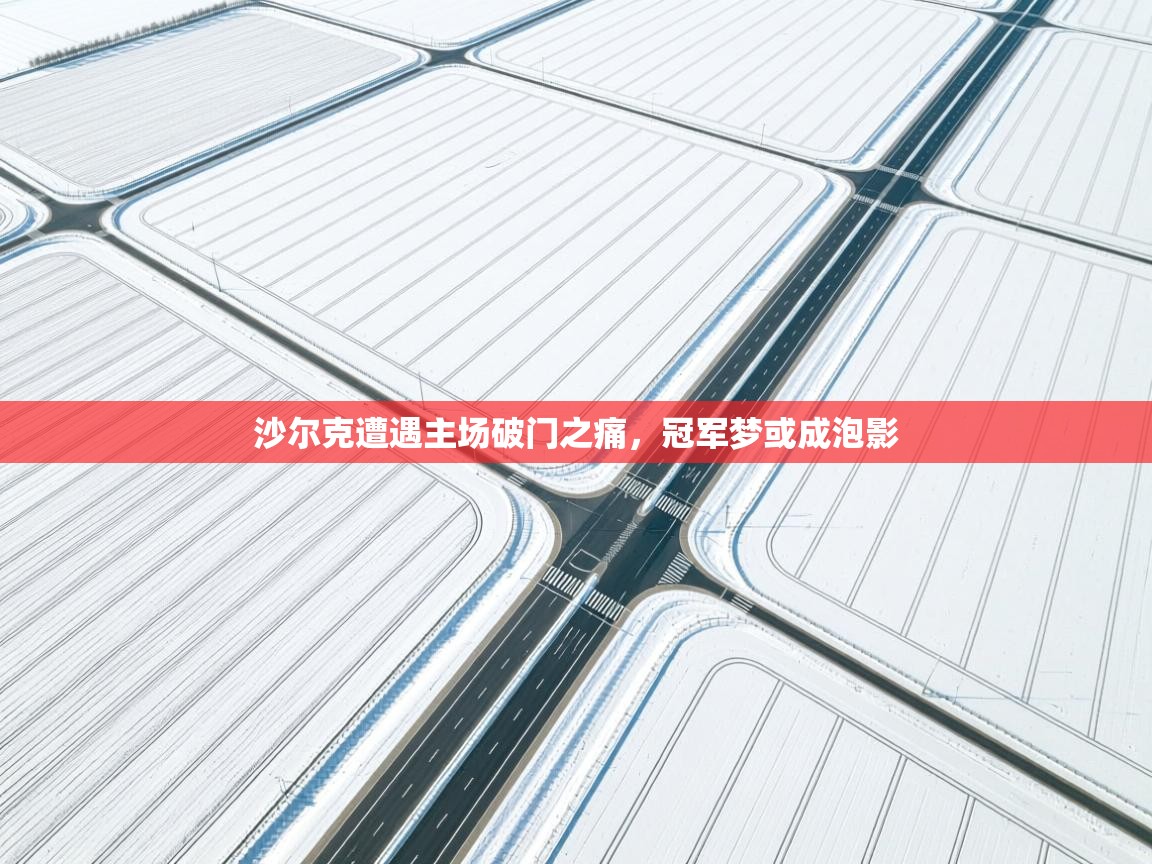 沙尔克遭遇主场破门之痛,冠军梦或成泡影 第1张