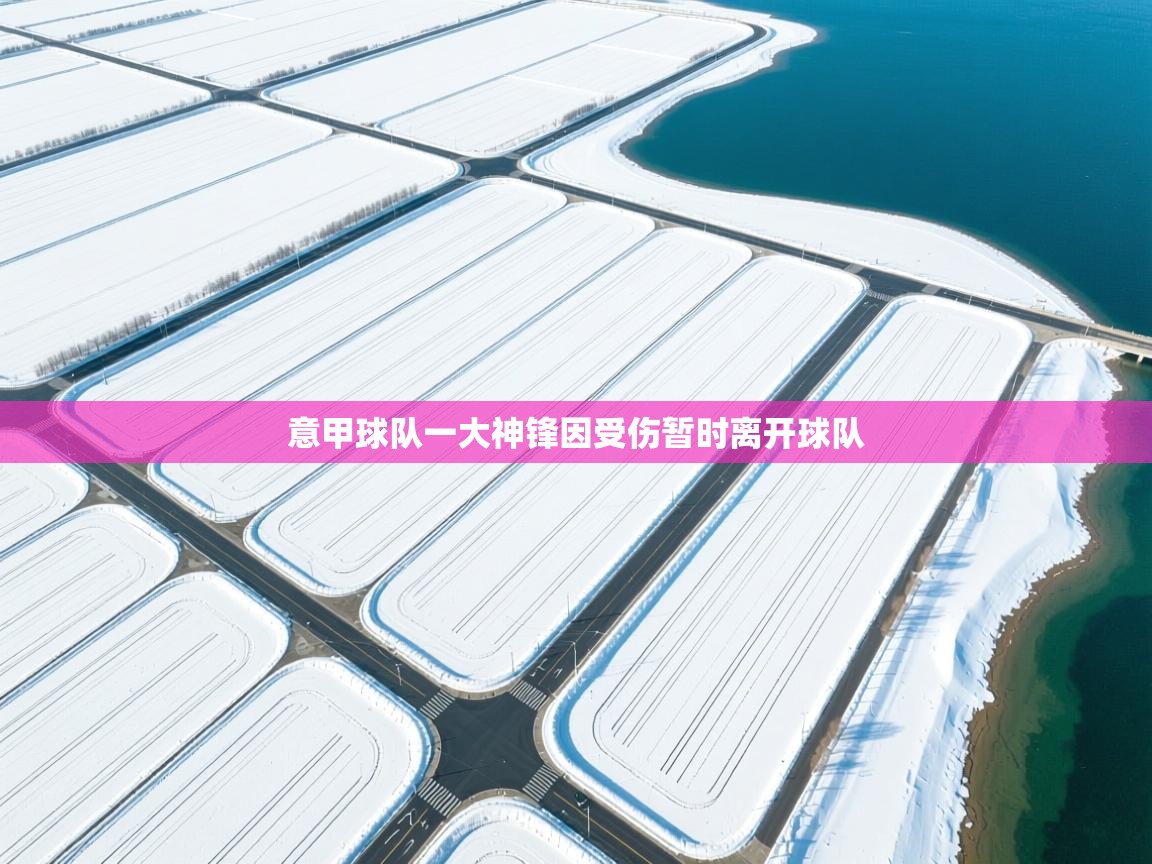 意甲球队一大神锋因受伤暂时离开球队